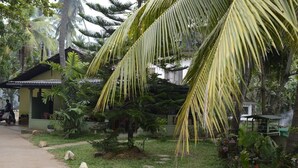 A tropical garden with a small house, palm trees, and a pathway. - Traveller's Home Hotel (Thissamaharama)