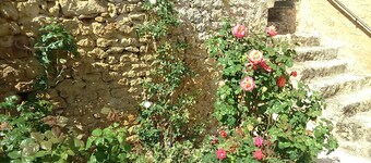 Le Vieux Château