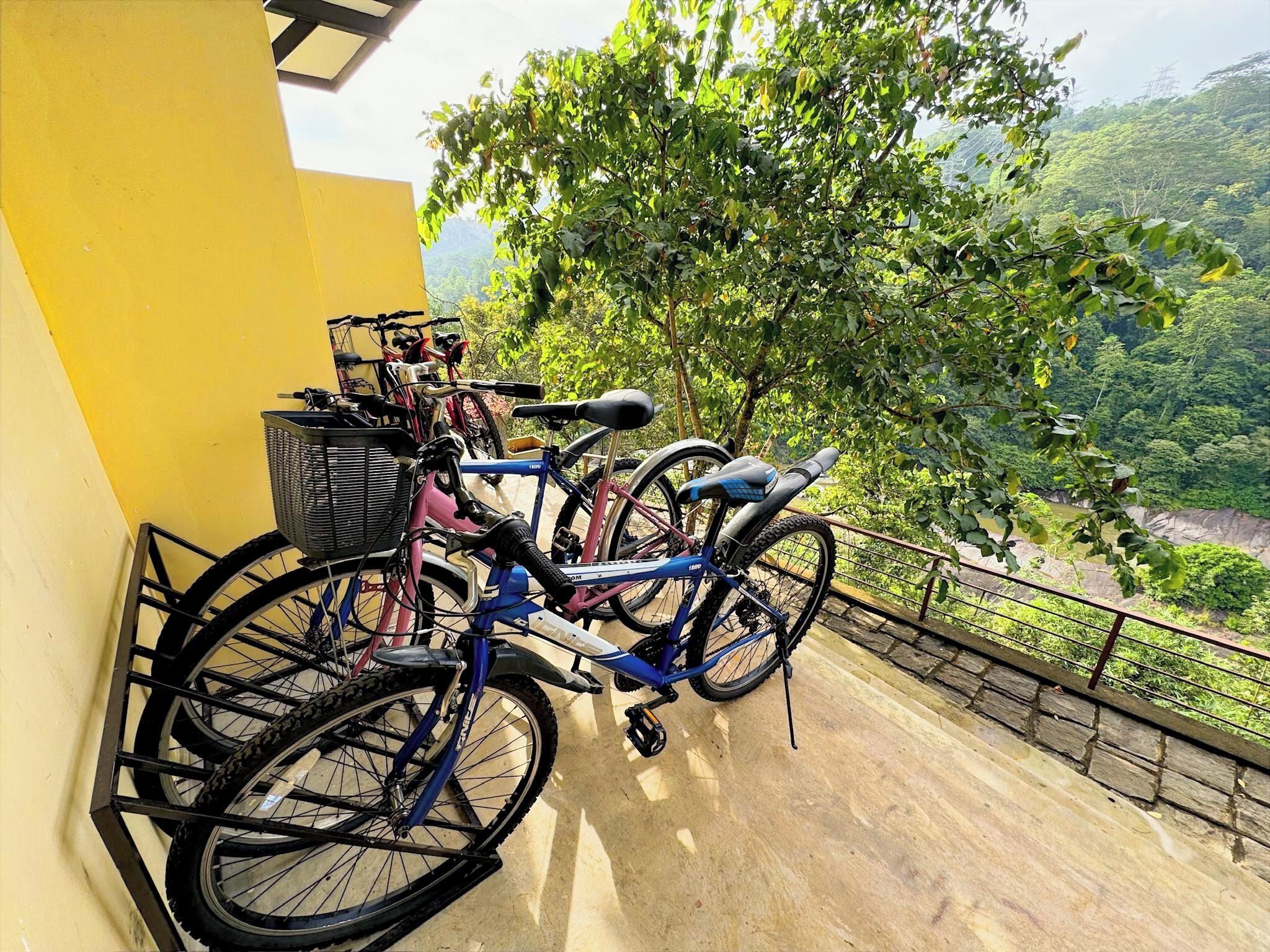 A balcony with bicycles, a metal basket, and a view of a green landscape.