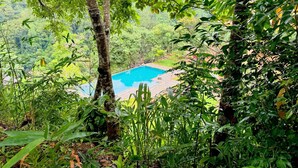 A pool surrounded by lush greenery and trees. - Aqua Dunhinda Villa & Nature Retreat (Kandy)