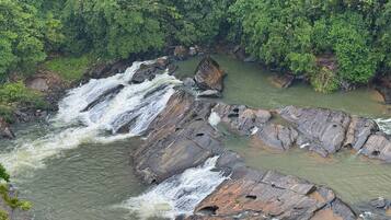 A river flowing through a rocky landscape with dense forest on the banks.