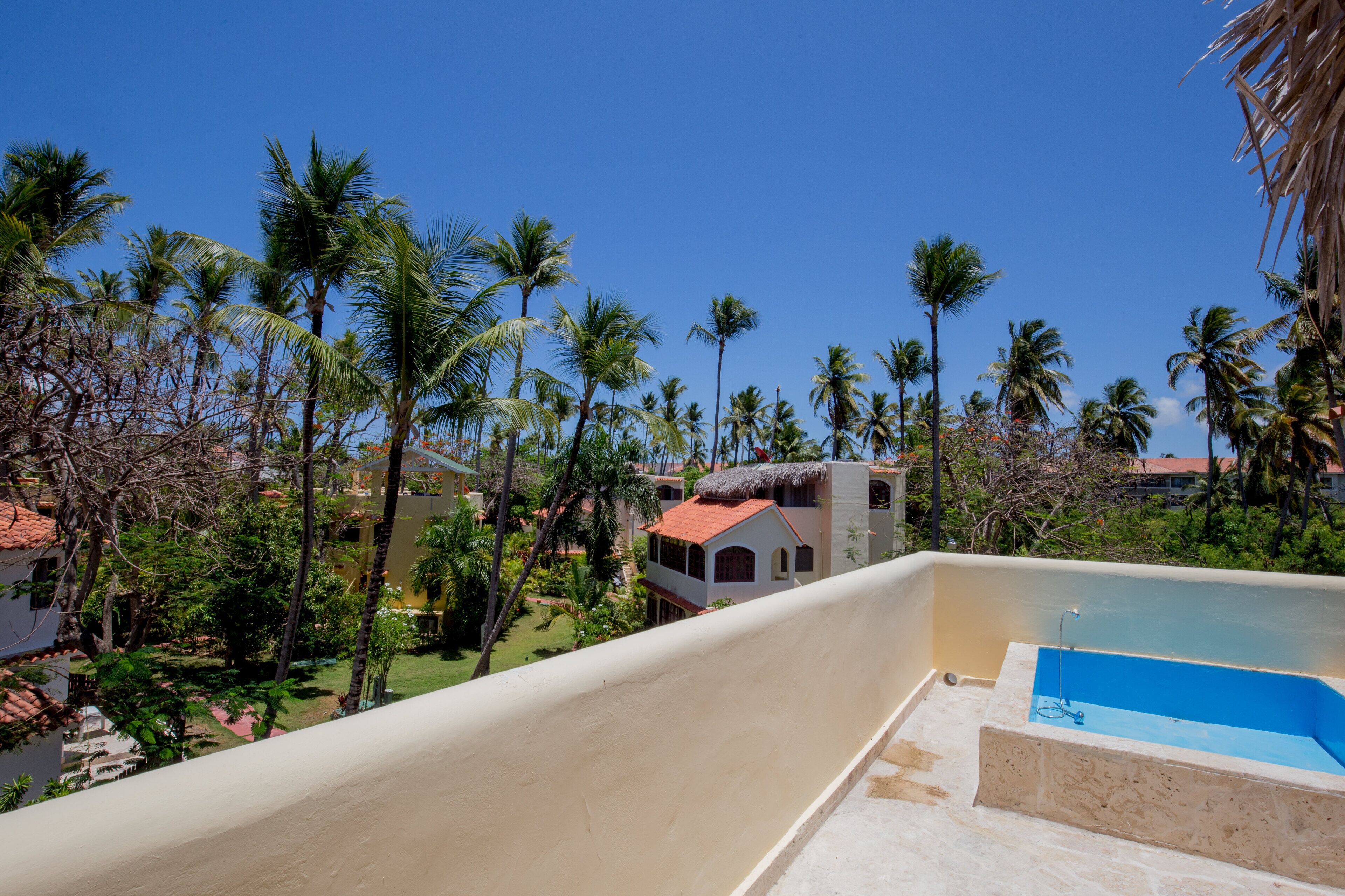 A pool area with a clear view of surrounding palm trees and buildings.