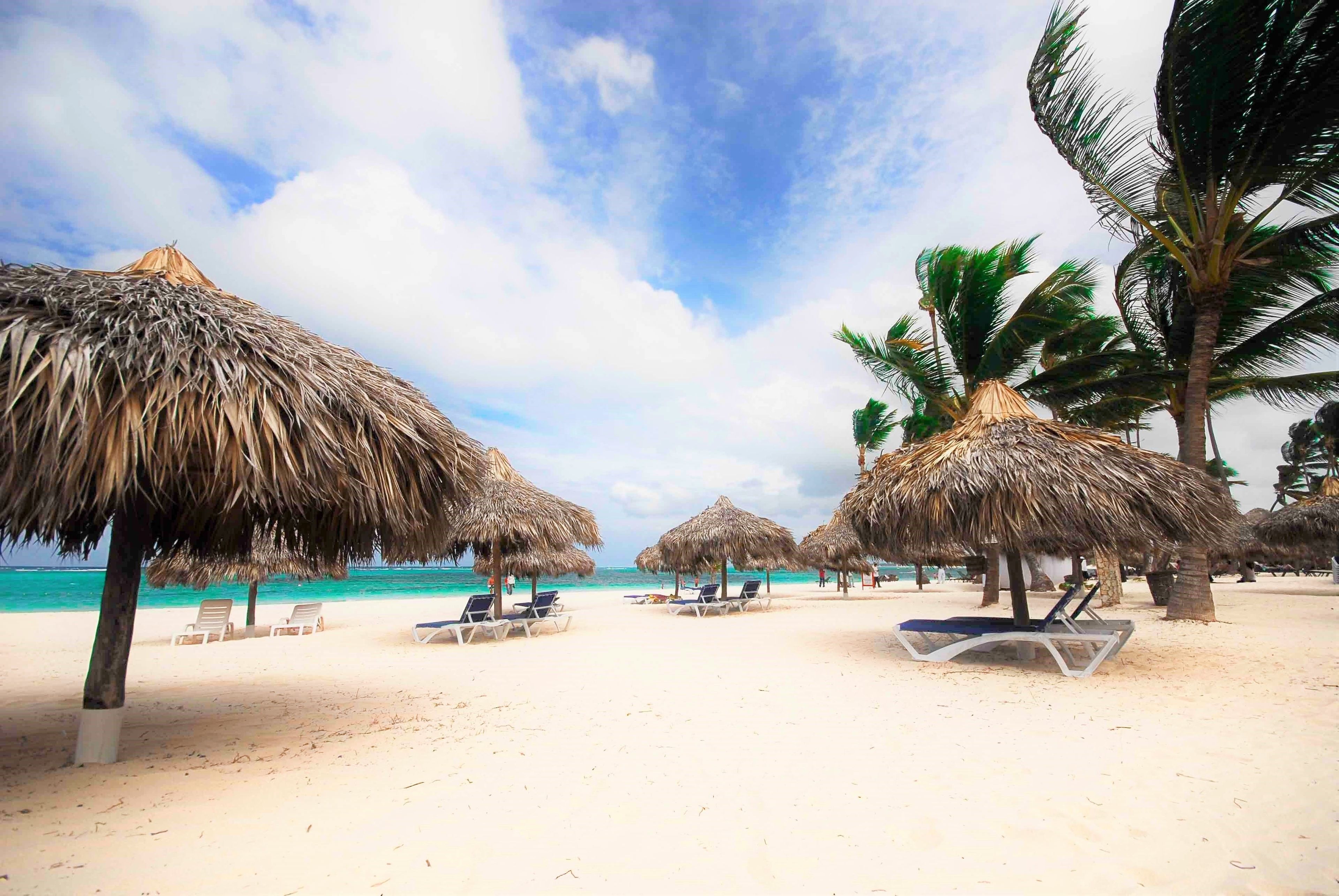 Een strand met rieten parasols en ligbedden, een zandstrand en palmbomen.