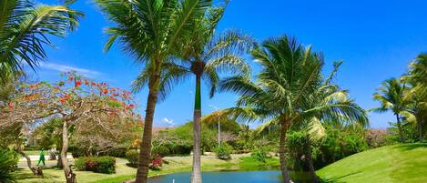 A well-maintained garden with palm trees, a pond, and a clear blue sky.
