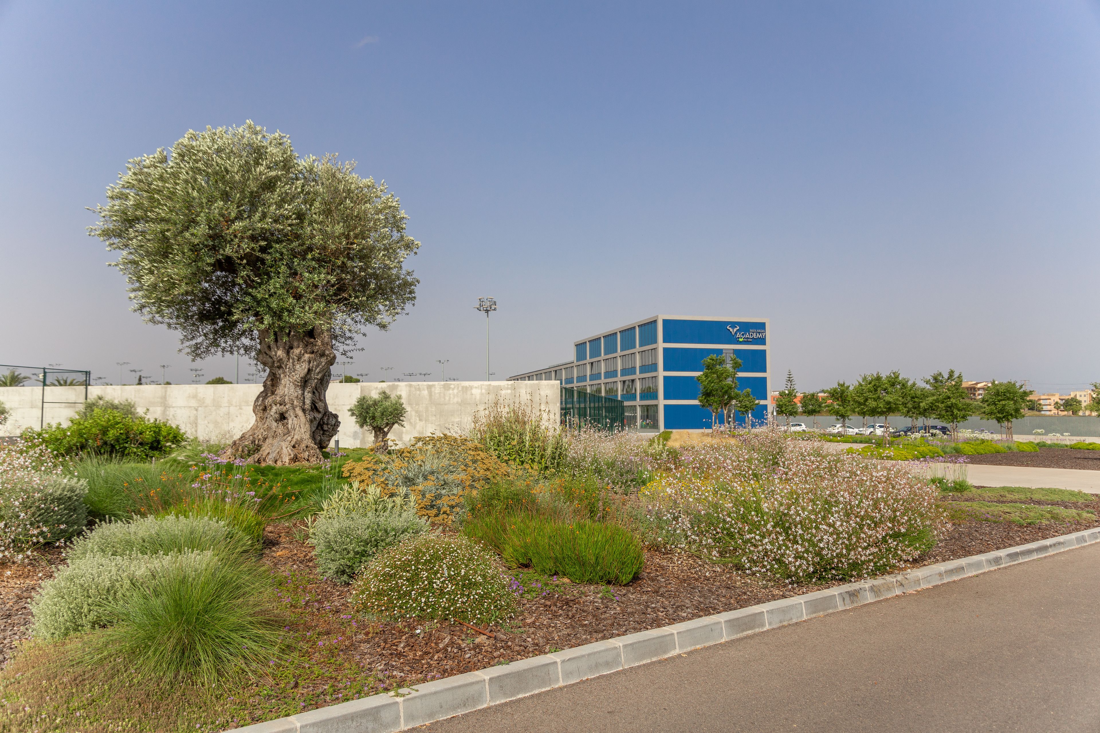 Foto - Rafa Nadal Residence