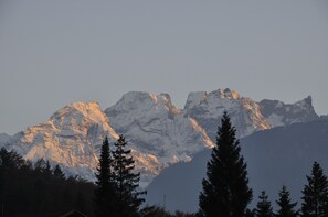 Vista desde la habitación