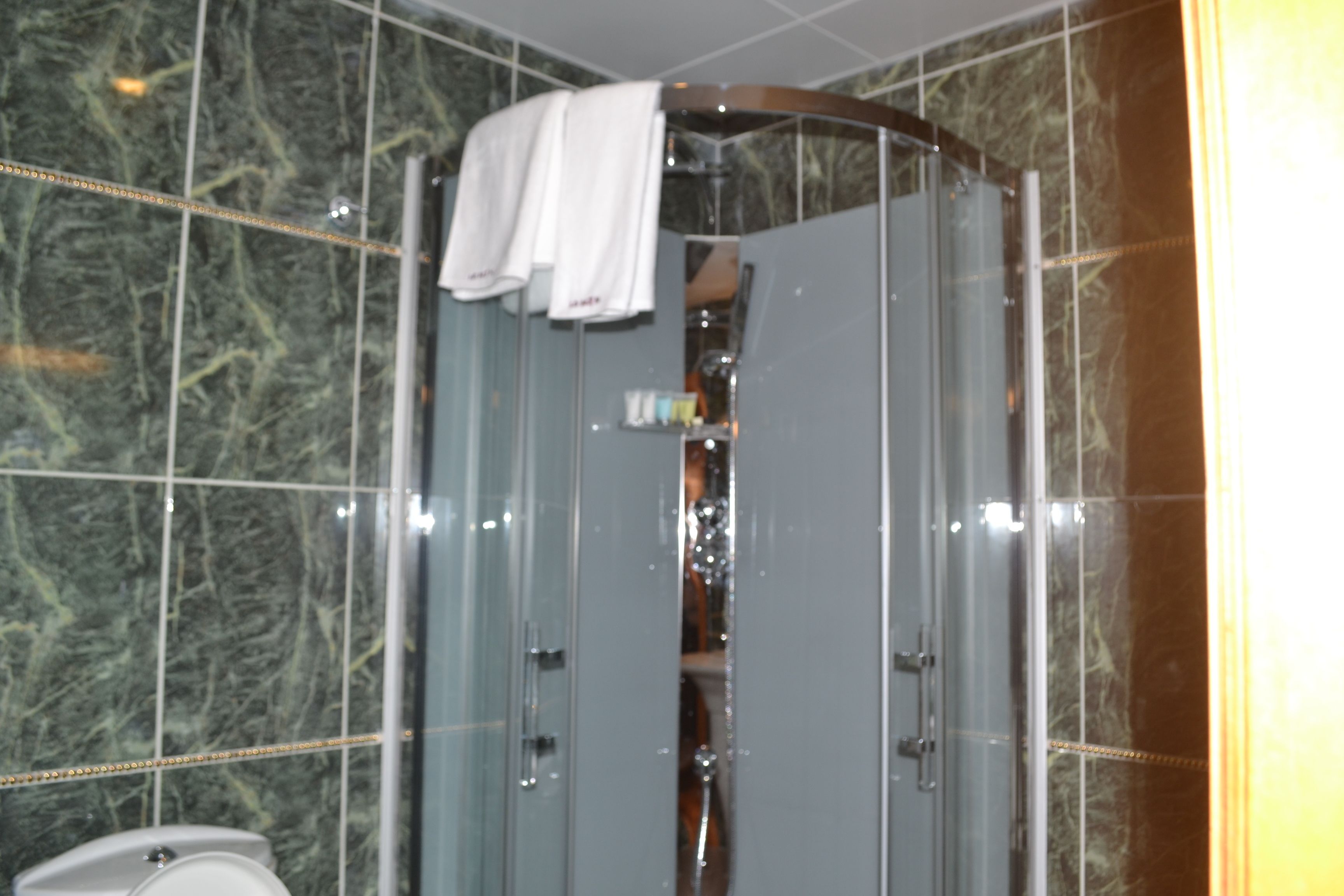 Un baño con cabina de ducha de vidrio, paredes de mármol y un inodoro.