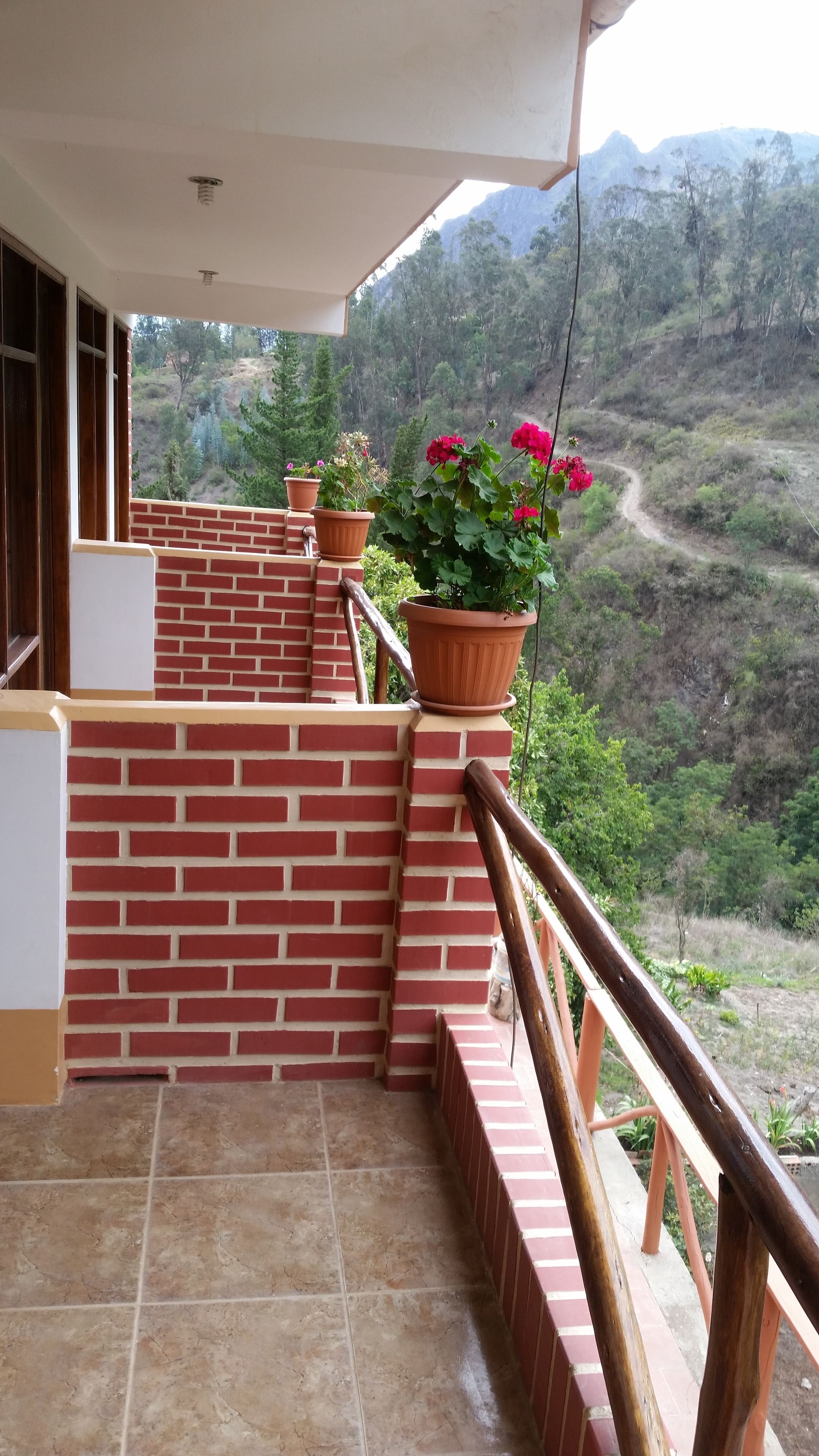 Vista desde la habitación