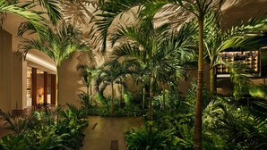 A lush indoor garden with a central pathway, surrounded by various tropical plants and palm trees. - The Sanya EDITION (Sanya)