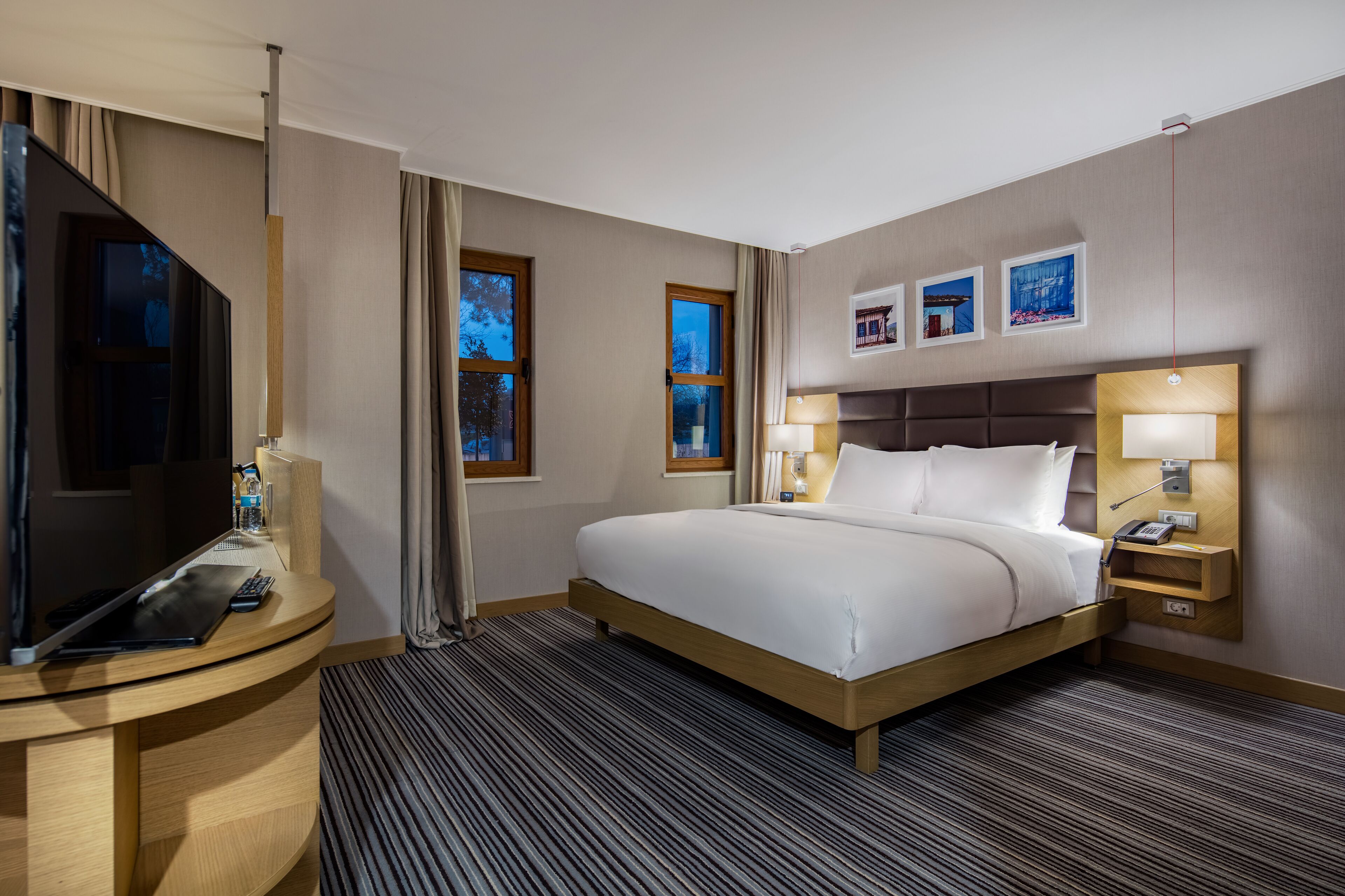 room, 1 king bed, accessible | view from room