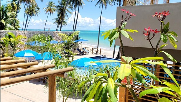 Un espace piscine avec des chaises longues et des parasols, des palmiers et une vue sur la plage.
