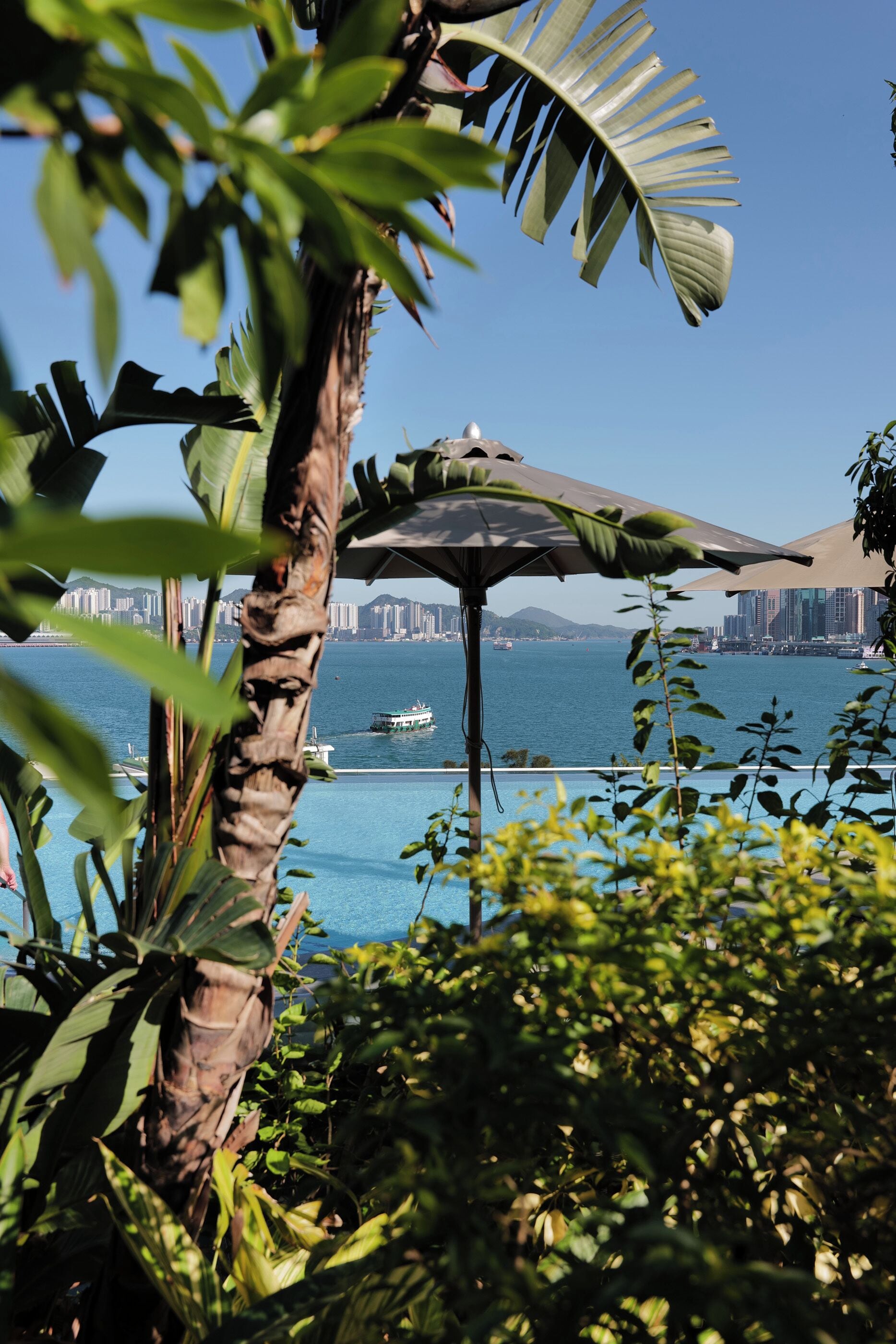 seasonal outdoor pool, open 7:00 am to 10:00 pm, pool umbrellas