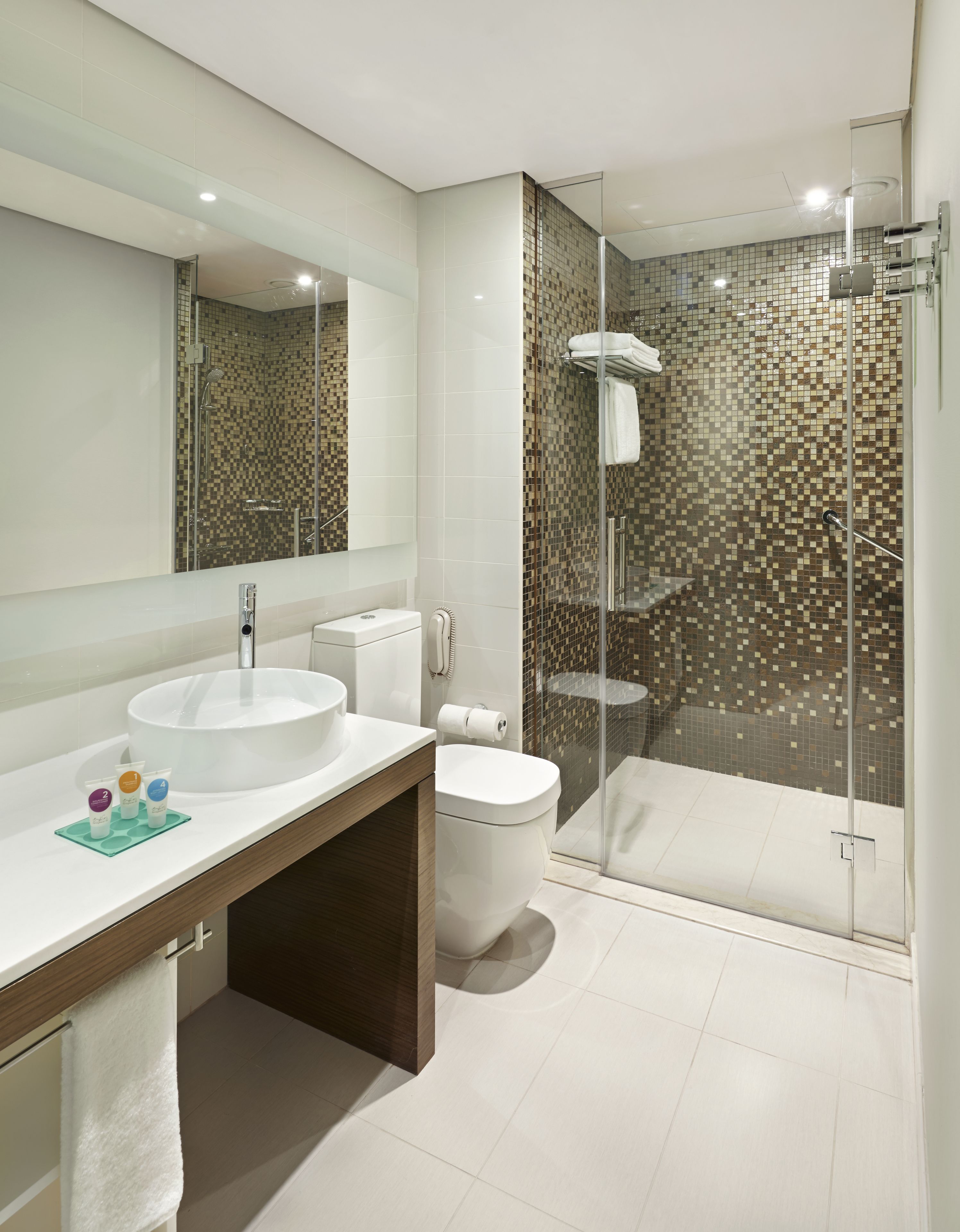 combined shower/bathtub, eco-friendly toiletries, hair dryer, bidet