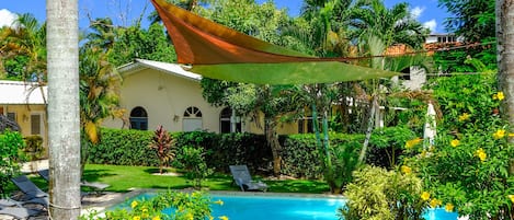 A pool area with a stone pathway, palm trees, and a house in the background.