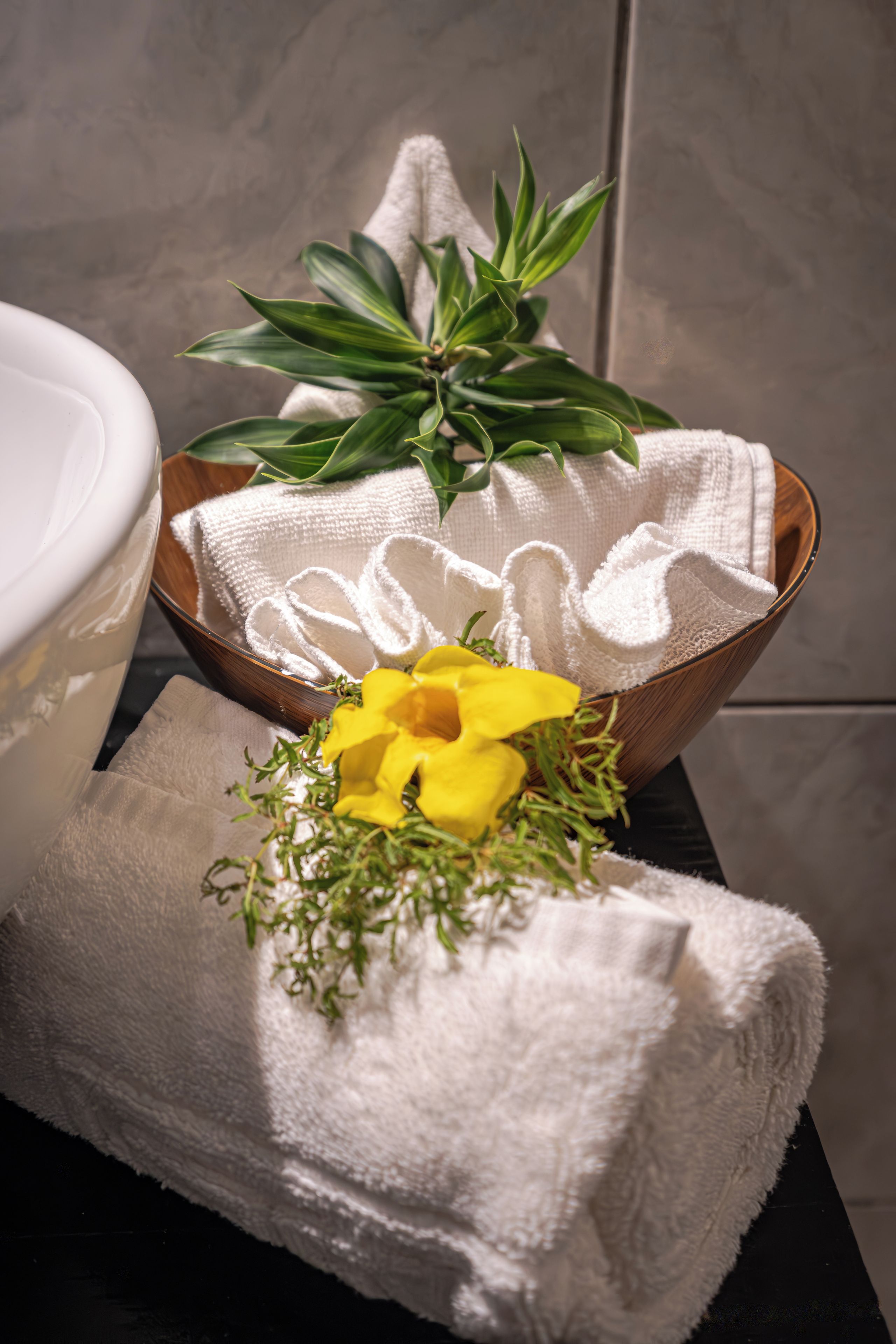 A white bowl with a textured interior, a white towel, and a small plant with green leaves on a dark surface.