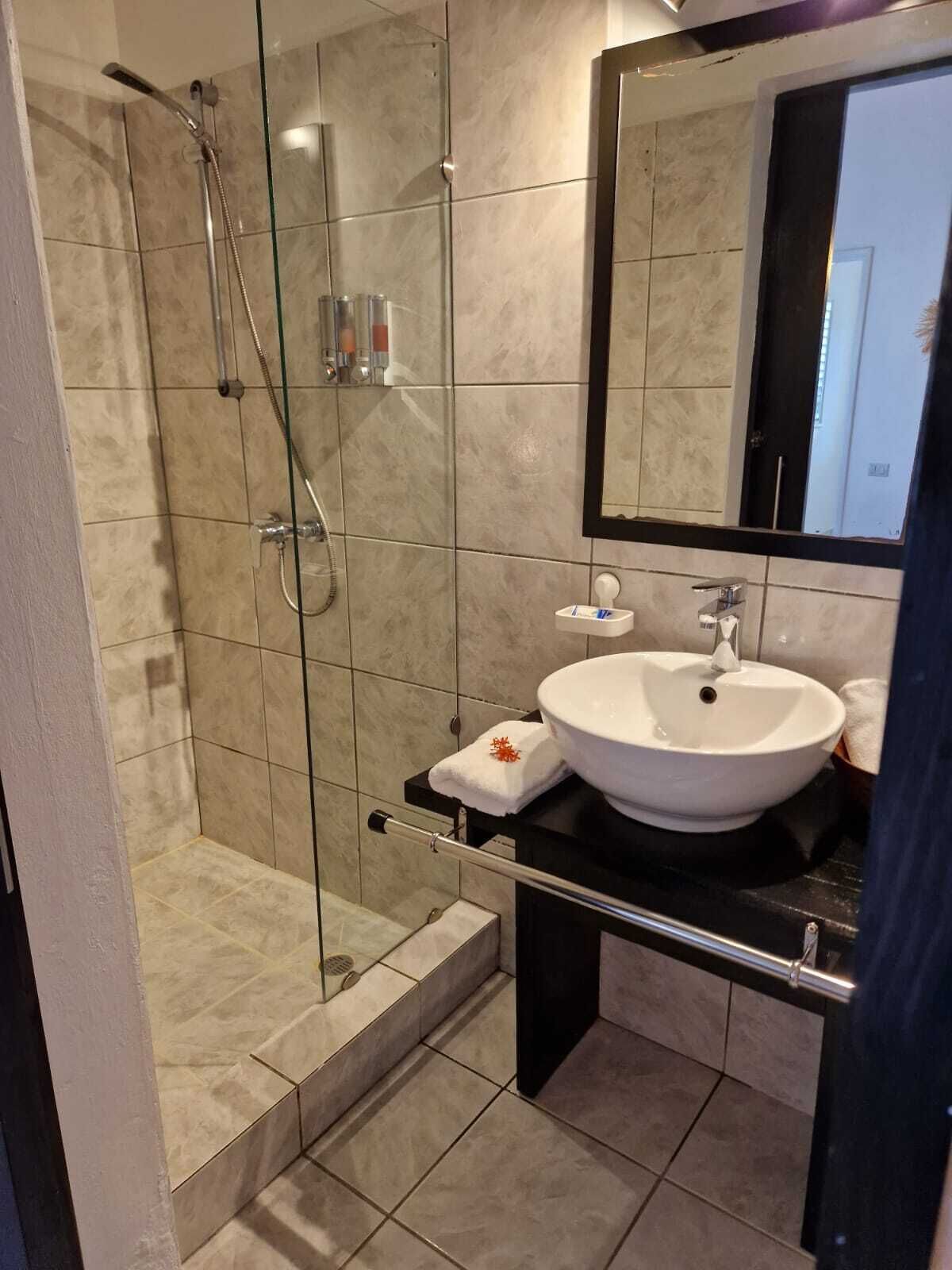 Ein modernes Badezimmer mit einer Duschkabine, einem weißen Waschbecken und einem großen Spiegel.