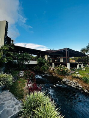 حيث تُقدم وجبات الإفطار، الغداء، العشاء، الأطباق العالمية