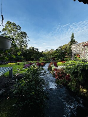 A garden with a stream, a stone building, and a hanging planter.