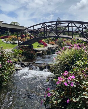 A garden with a small stream, a wooden bridge, and various flowering plants.