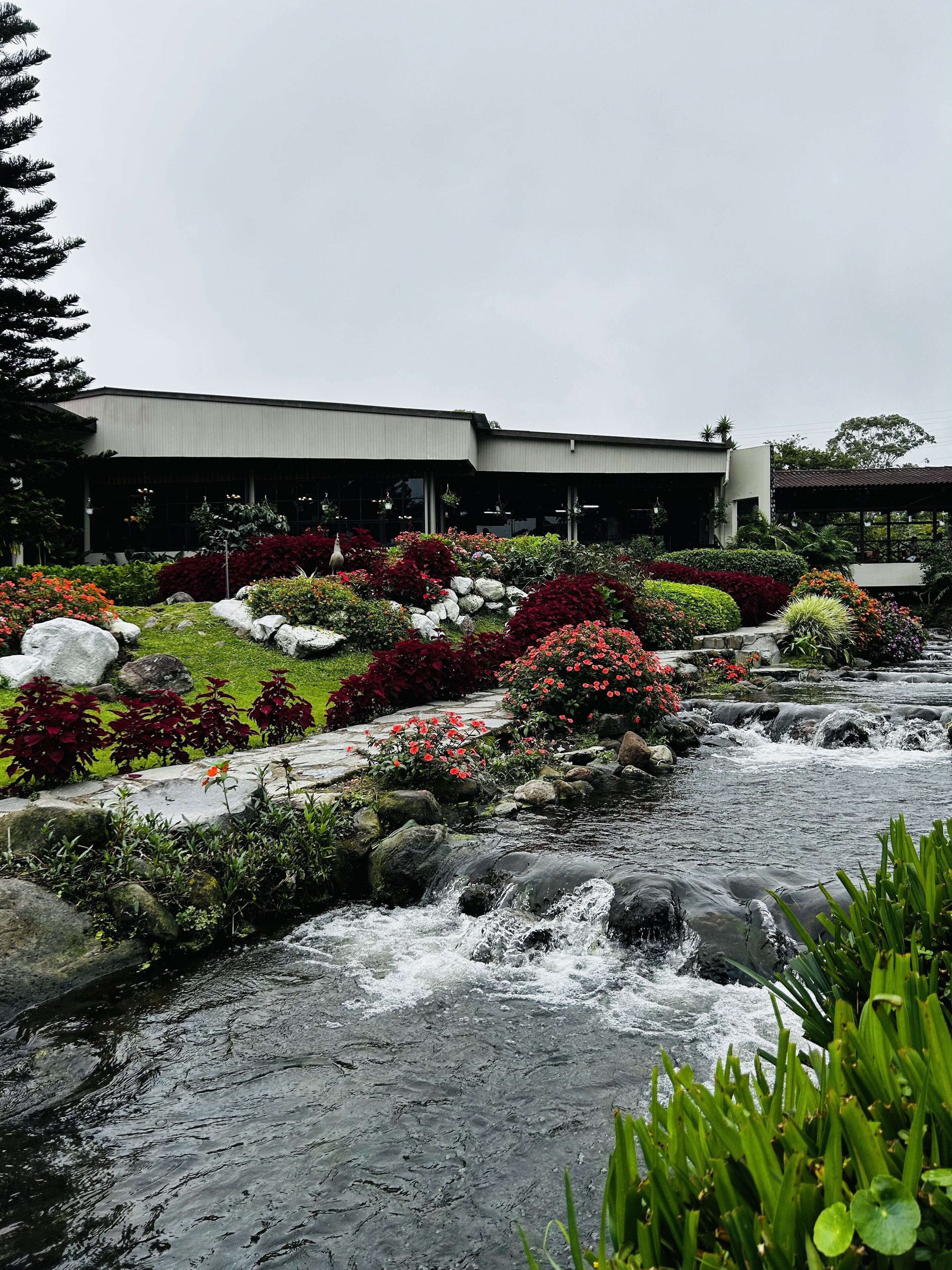 A landscaped garden with a stream, red and green foliage, and a modern building in the background.