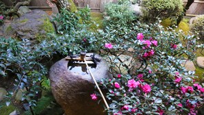 Un jardín japonés tradicional con una roca grande, un puente de madera y vibrantes flores rosadas.
