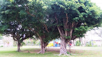 公园景观