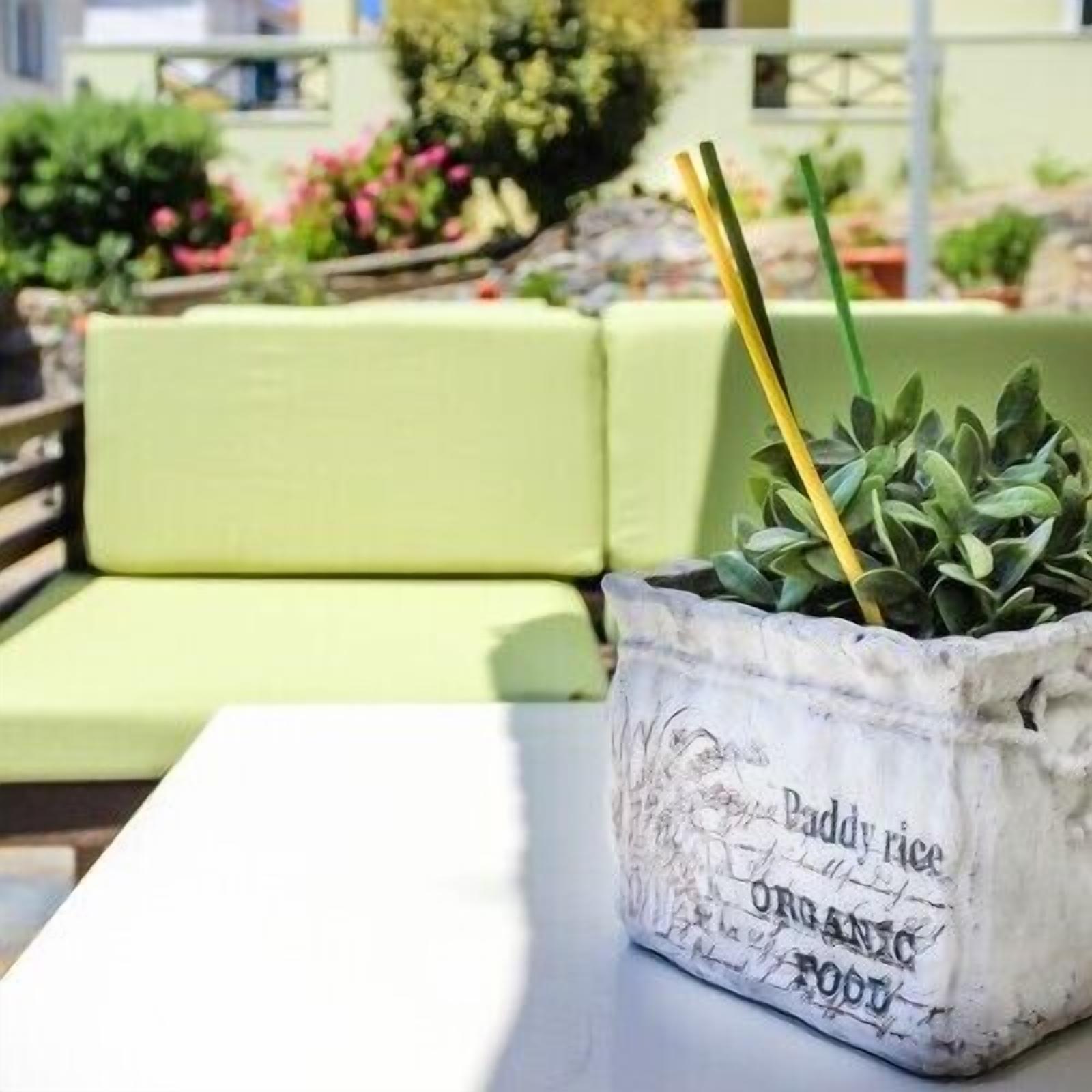 suite | terrace/patio