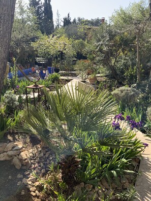 Un jardín con plantas diversas, un sendero de piedra y una valla rústica.
