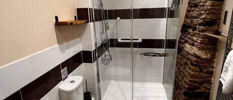 A modern bathroom with a glass-enclosed shower, a toilet, and a bathtub.