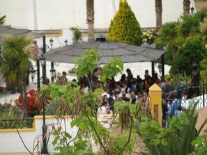 Vista desde la propiedad