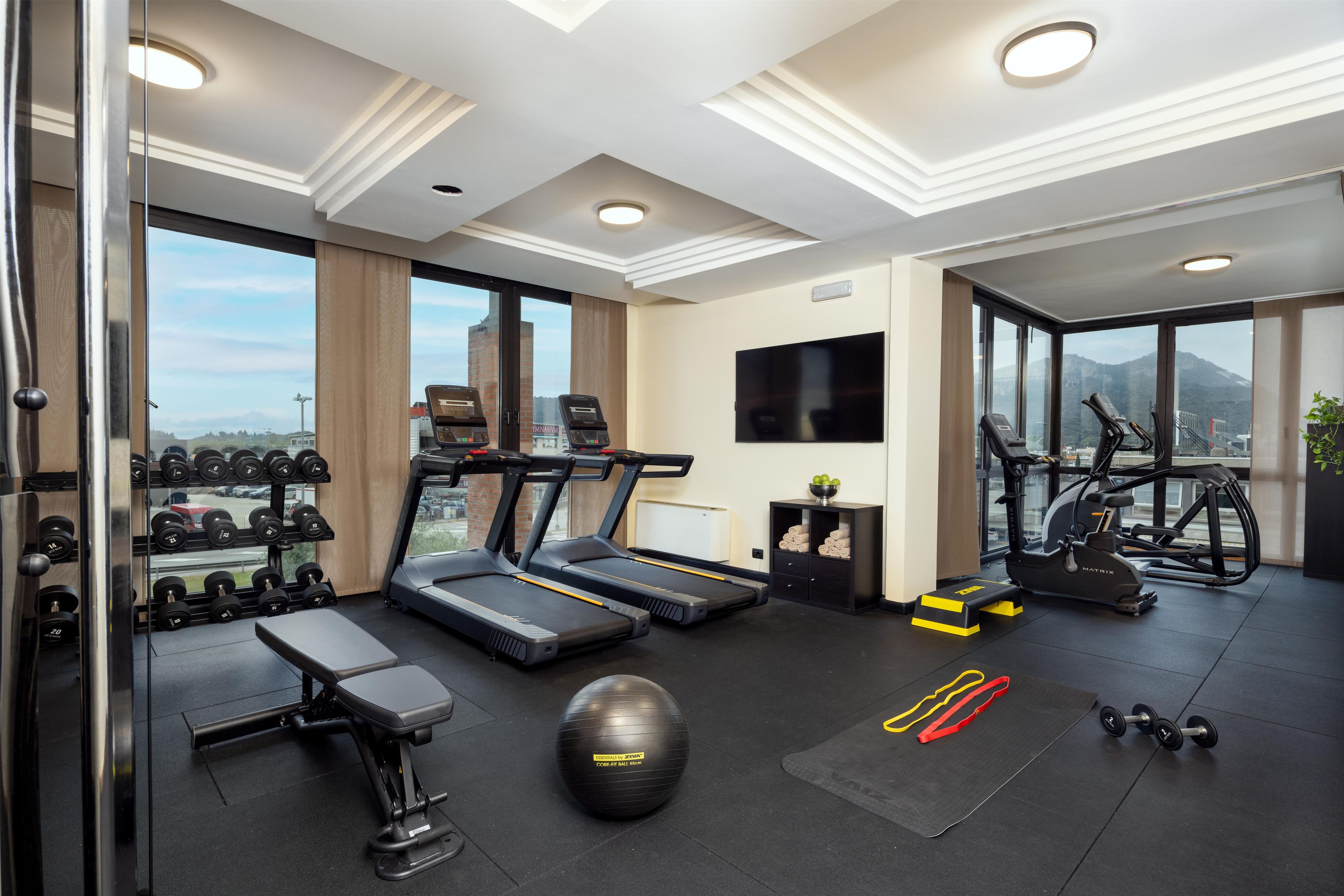 A well-equipped gym with treadmills, dumbbells, a bench, and exercise balls.