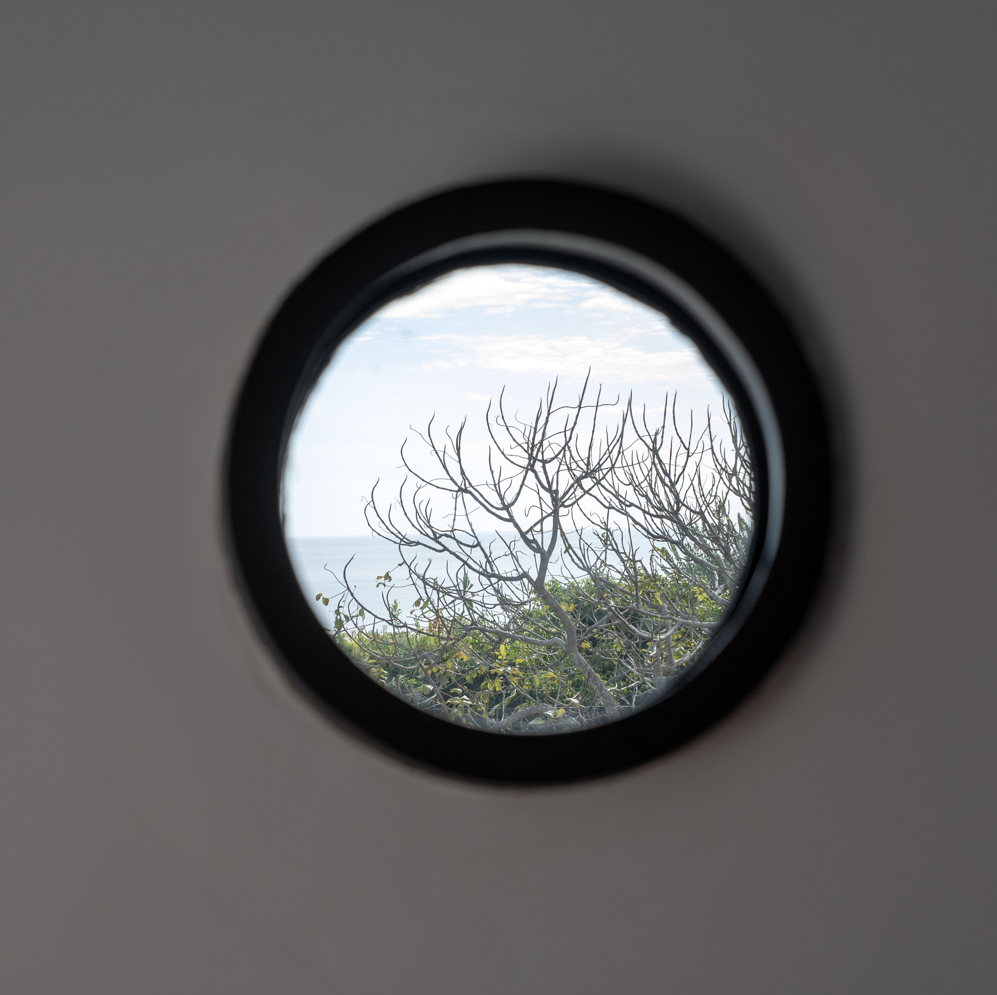 Una ventana redonda con vistas a un árbol sin hojas y un cuerpo de agua.