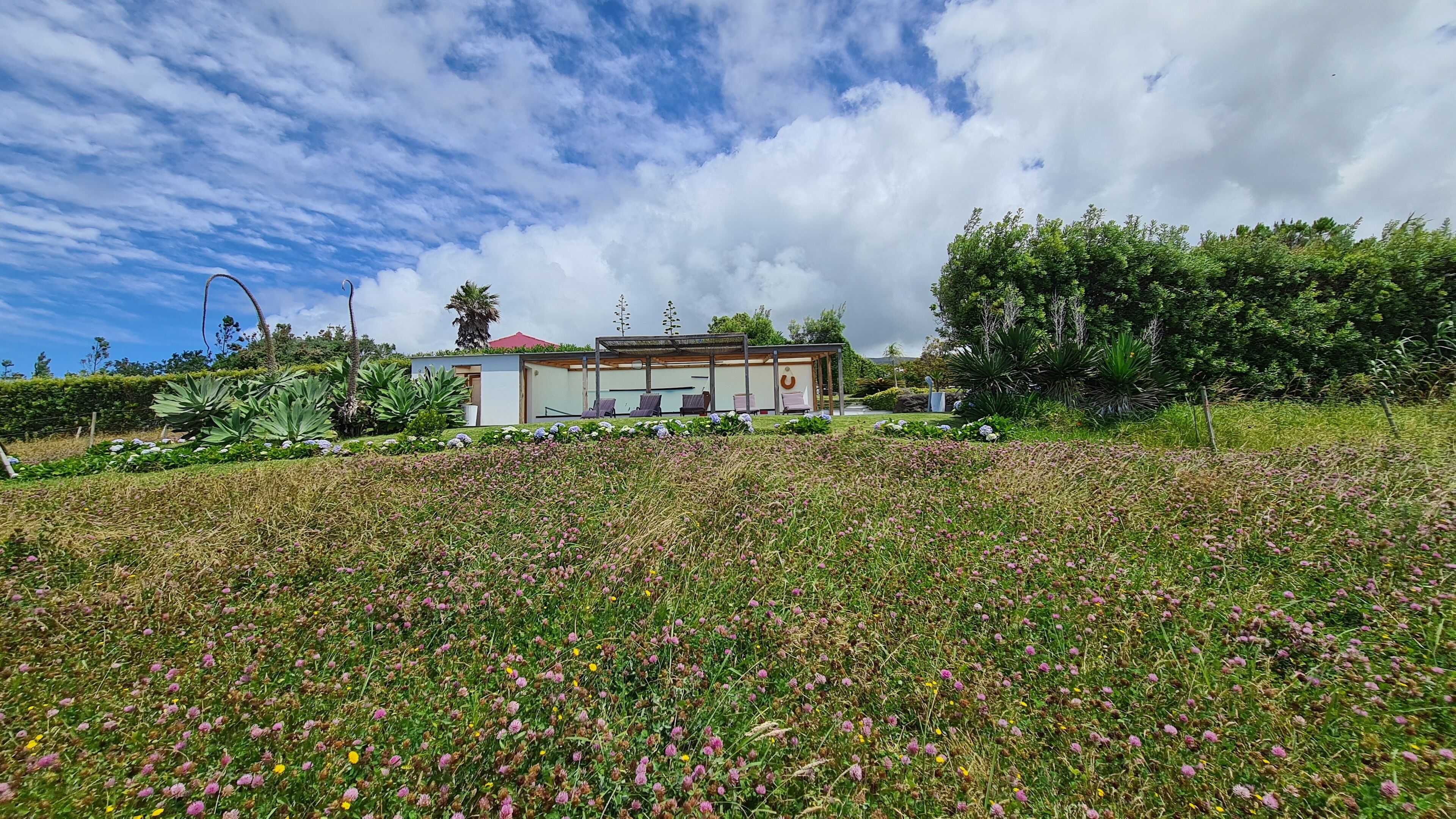A building with a covered outdoor seating area, surrounded by a field of clover and other wildflowers.