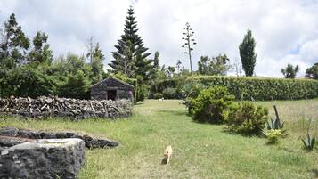 Una casa de piedra con techo de paja rodeada de abundante vegetación y árboles altos.
