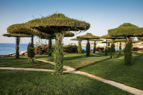 Siva Sharm Resort & Spa 