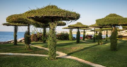 Siva Sharm Resort & Spa