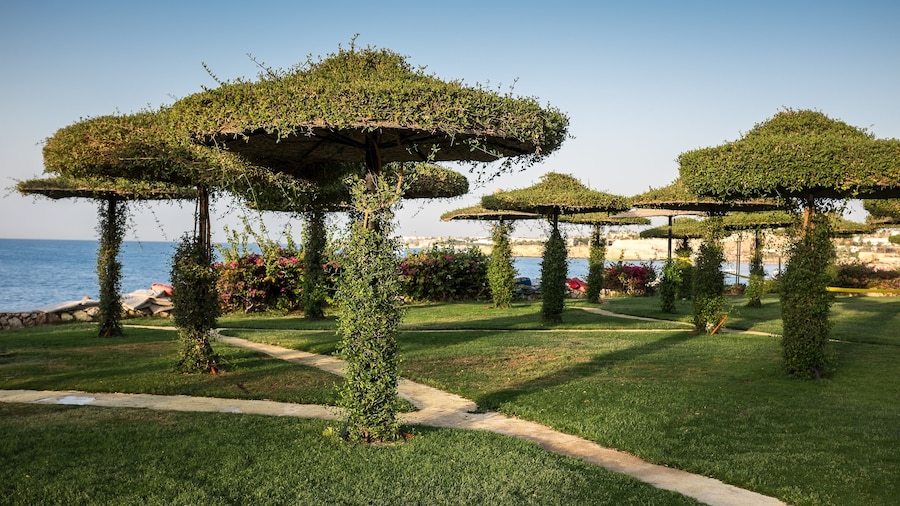 Siva Sharm Resort & Spa