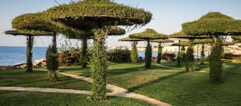 Siva Sharm Resort & Spa