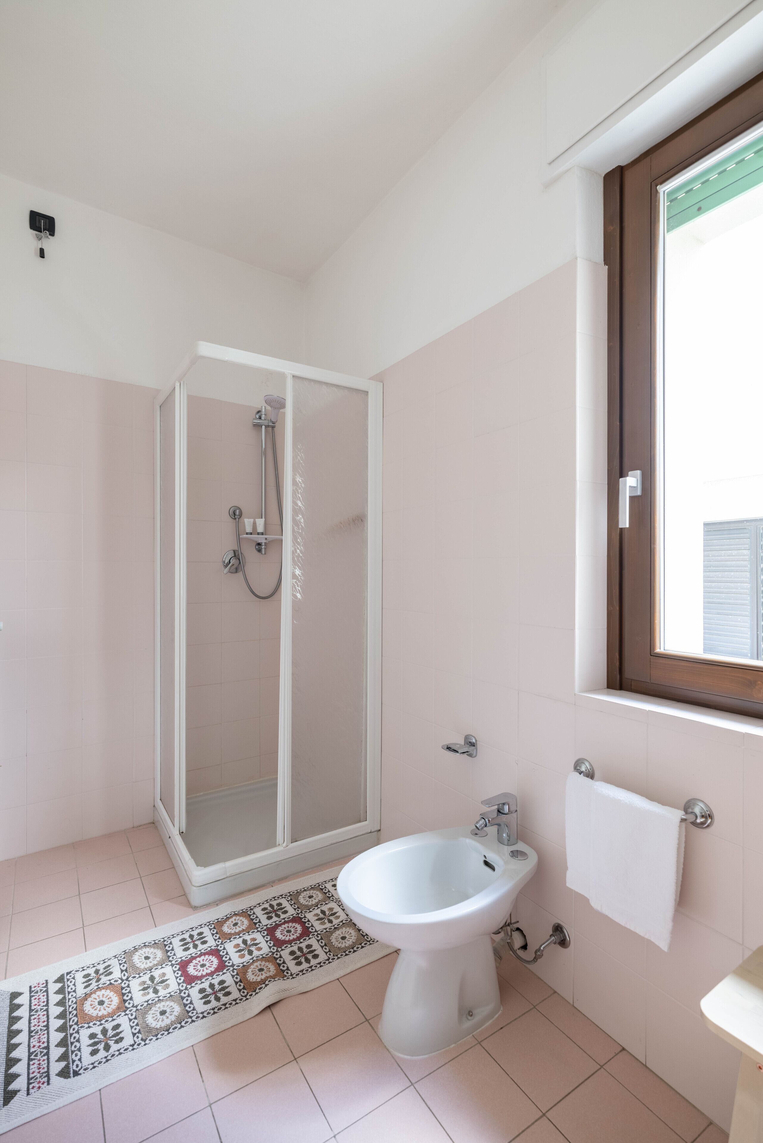 Une salle de bain avec douche, bidet et fenêtre.