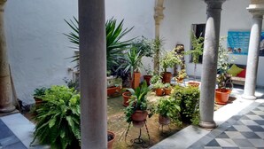 A courtyard with potted plants, a tiled floor, and columns. - Casa Del Regidor (El Puerto de Santa Maria)