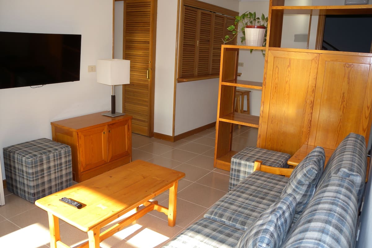Flat-screen TV
