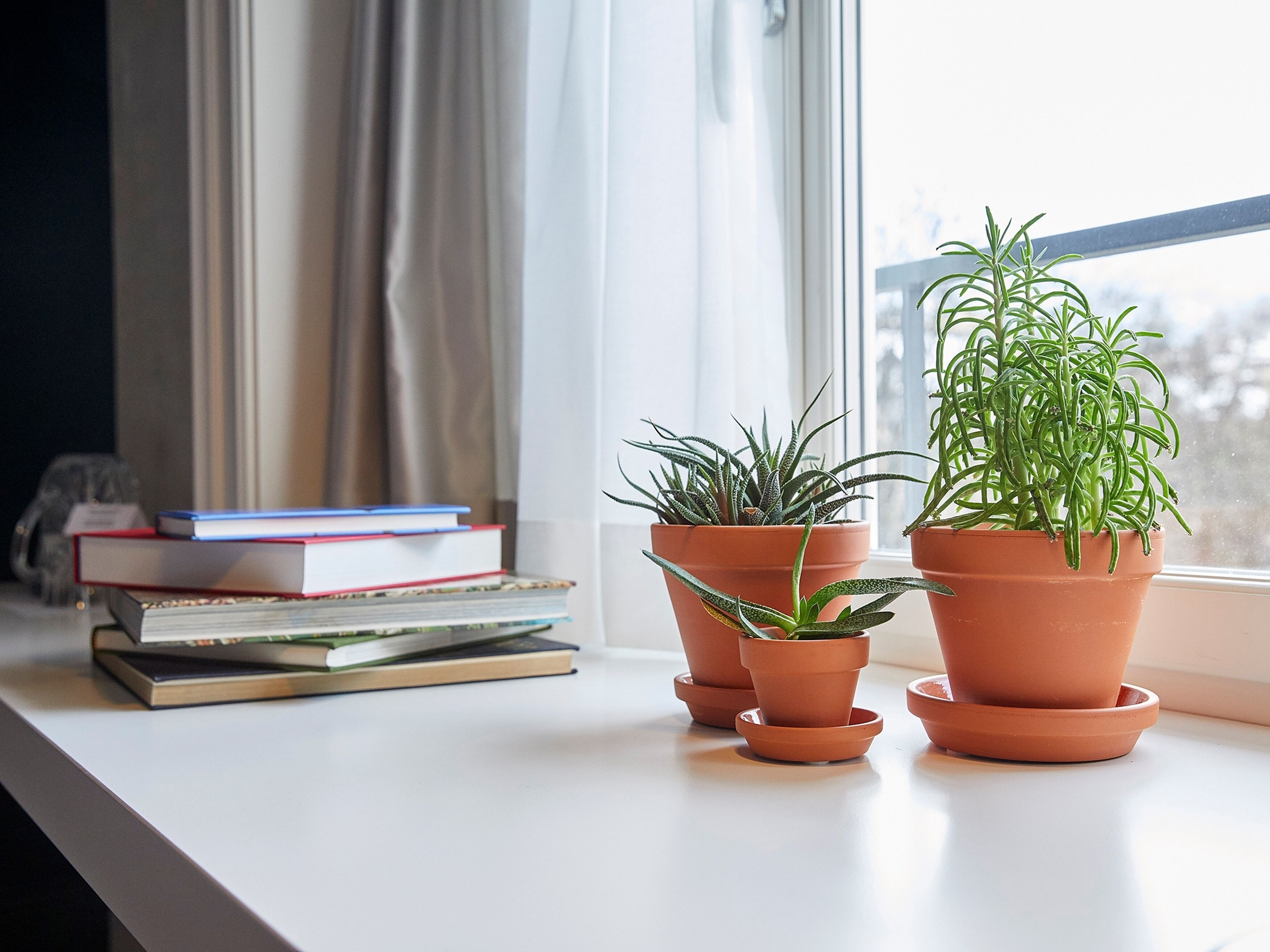 Hypoallergeen beddengoed, een kluis op de kamer, een bureau