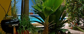 A poolside area with a large planter, palm plants, and a view of the ocean.