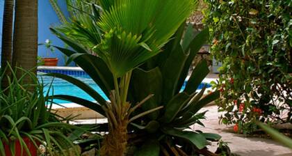 Caribbean Flower Apartments