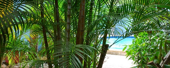 A tropical resort with lush greenery and a view of the ocean.