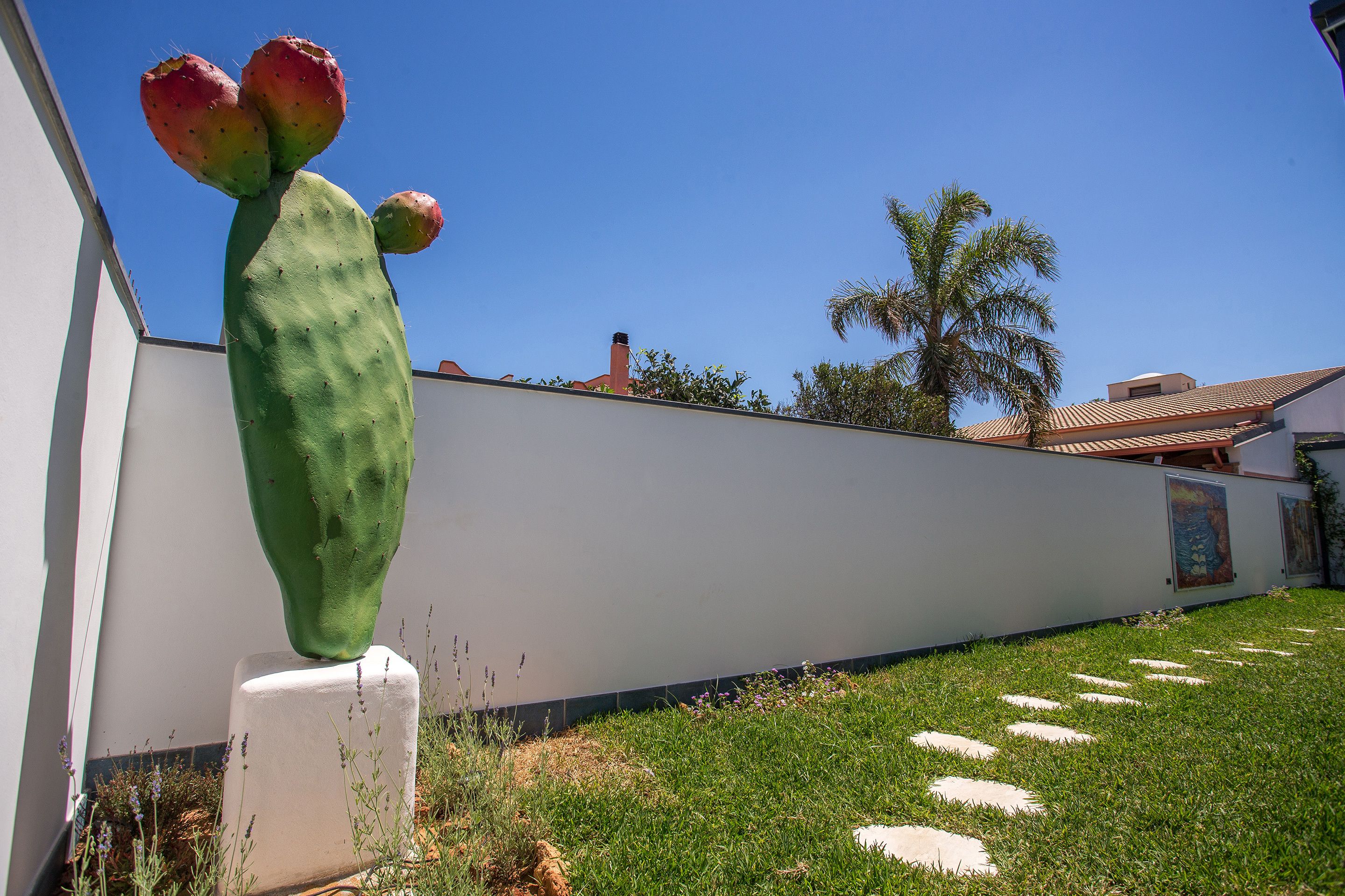 A cactus in a garden with a white wall and a palm tree in the background.