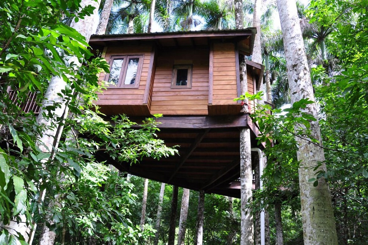 A wooden treehouse with a balcony, surrounded by dense forest.