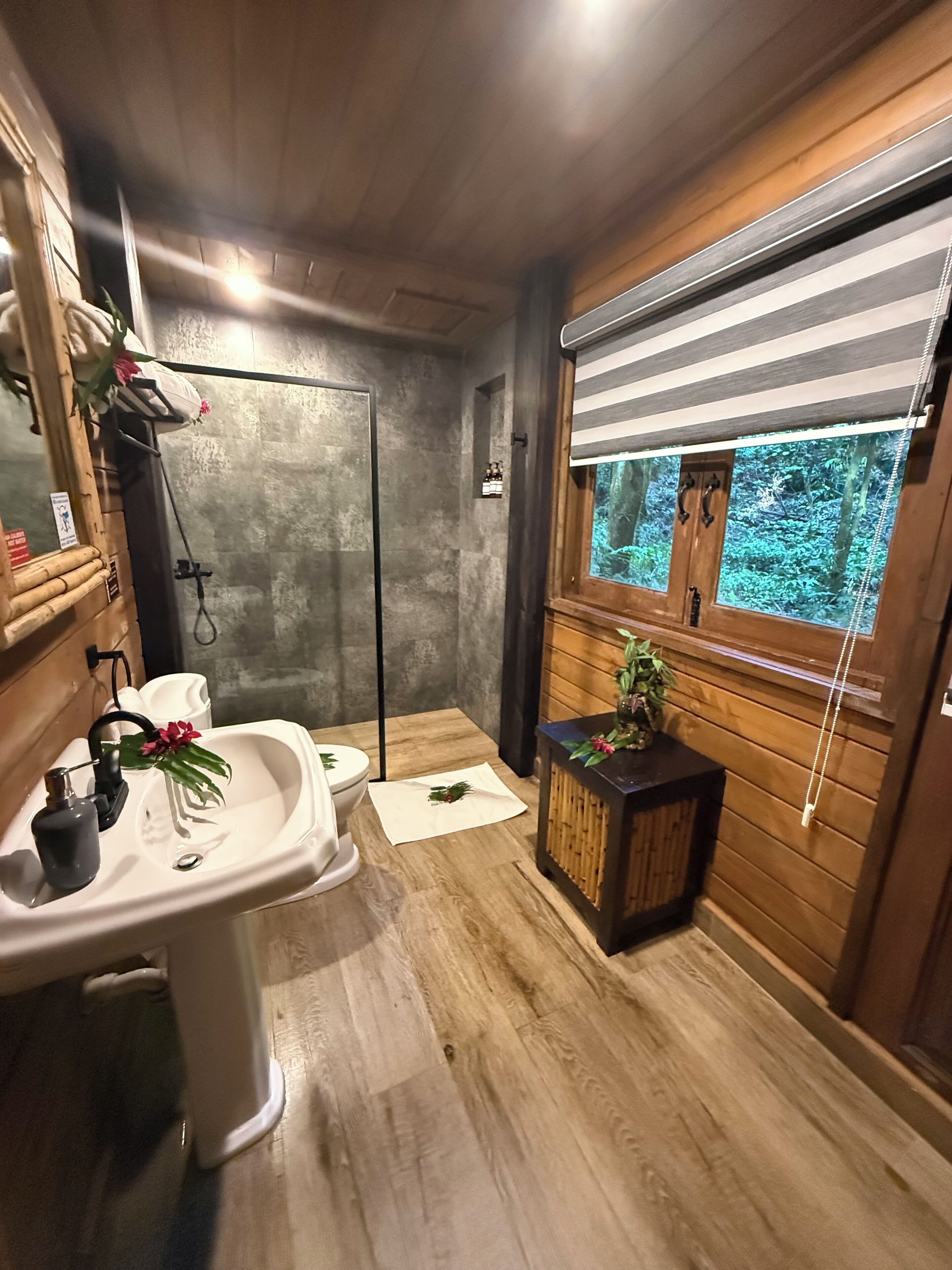 double room | bathroom | shower, free toiletries, towels