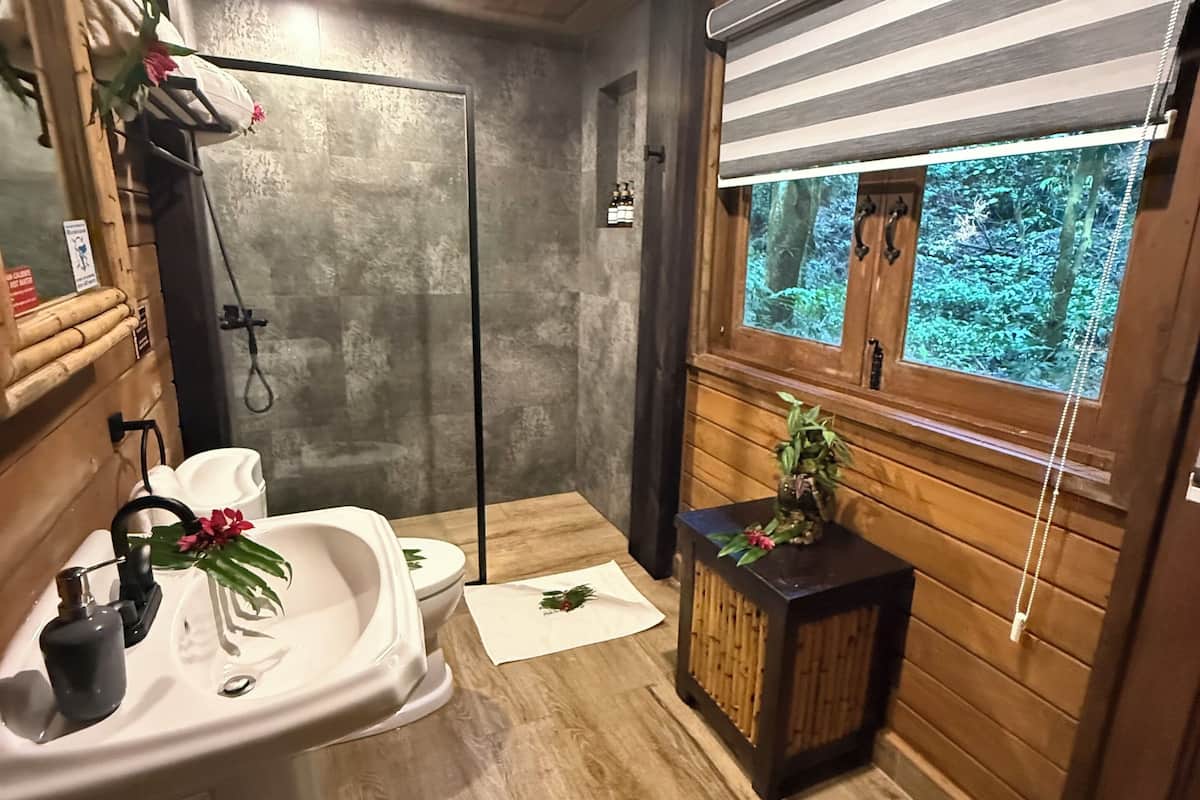 double room | bathroom | shower, free toiletries, towels