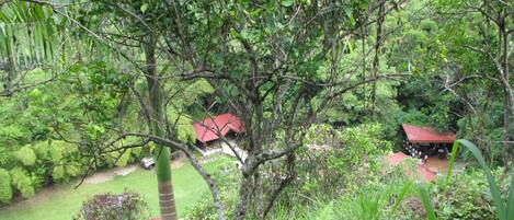 Un paisaje exuberante y verde con un edificio de techo rojo rodeado de follaje denso.